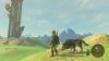 Wii U The Legend Of Zelda Breath Of The Wild Használt (Ritka)