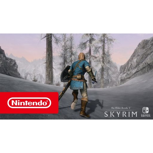 Switch Skyrim használt