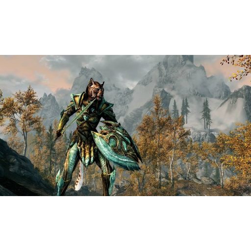 Switch Skyrim használt