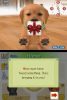 Nintendo DS Nintendogs Labrador and Friends