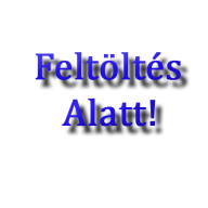 VEGER autós töltő 17W dupla kiállással fekete