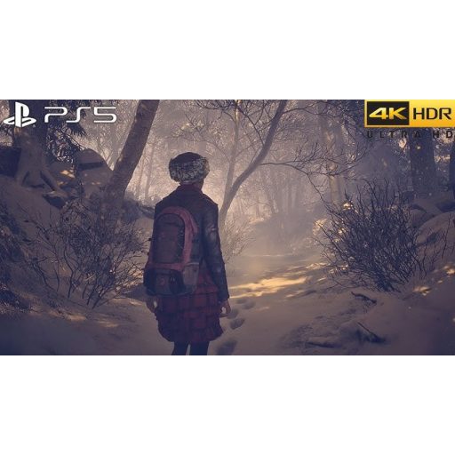 Playstation 5 Until Dawn