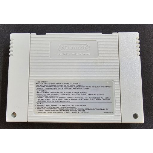 SNES Terranigma