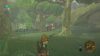 Switch The Legend Of Zelda Breath of the Wild használt