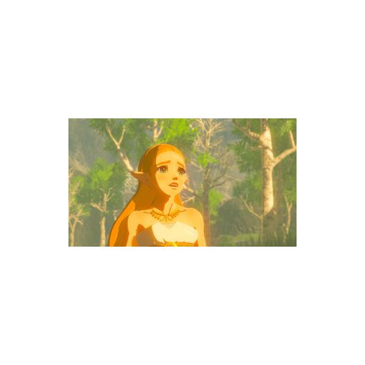 Switch  2 The Legend Of Zelda Breath of the Wild használt