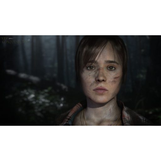Ps4 Heavy Rain & Beyond Two Souls collection használt
