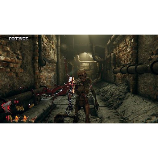 Playstation 5 The House of The Dead Remake Limited Edition