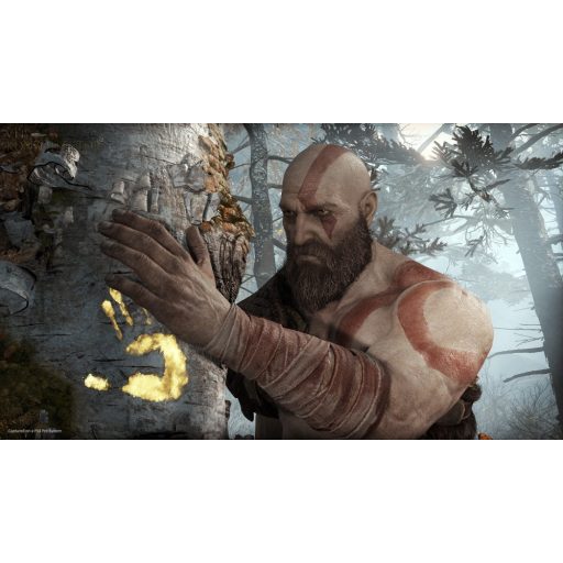Ps4 God of War 