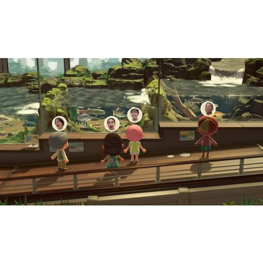 Switch Animal Crossing New Horizons