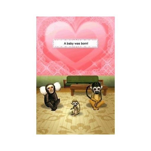 Nintendo DS Petz My Monkey Family