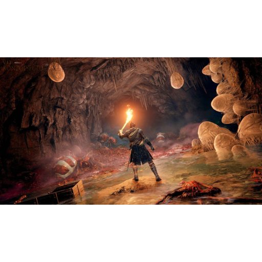 XboxOne/Series Elden Ring  használt