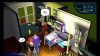 Ps2 The Sims