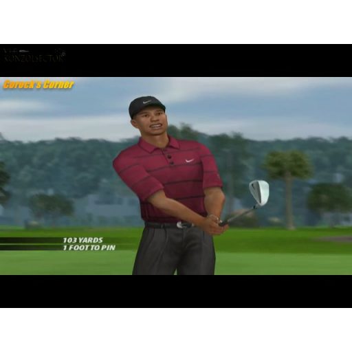 Ps2 Tiger Woods PGA Tour 2005