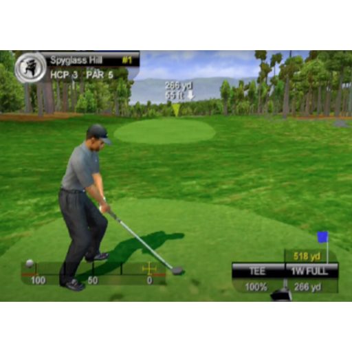 Ps2 Tiger Woods PGA Tour 2005