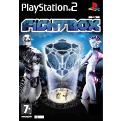 Ps2 FightBox