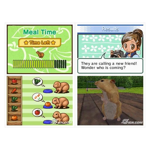 Nintendo DS Animal Paradise 