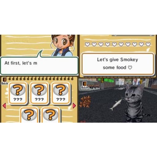 Nintendo DS Animal Paradise 
