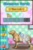 Nintendo DS Animal Paradise 