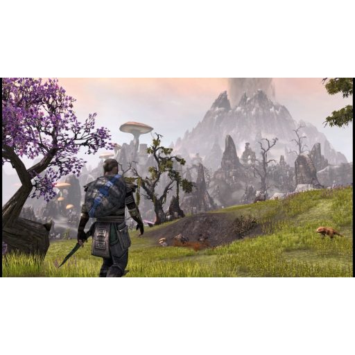 XboxOne The Elder Scrolls Online  használt