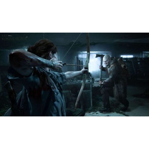 Playstation 4 The Last of Us 2 