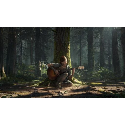Playstation 4 The Last of Us 2 