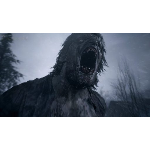 XboxOne Resident Evil Village használt