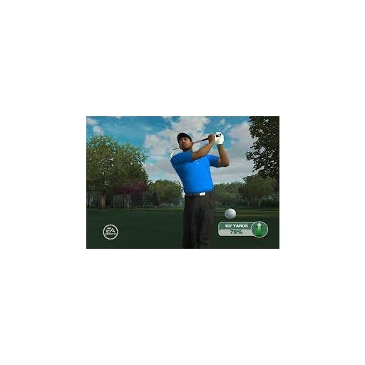 Ps2 Tiger Woods PGA Tour 09