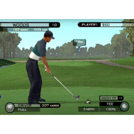 Ps2 Tiger Woods PGA Tour 09