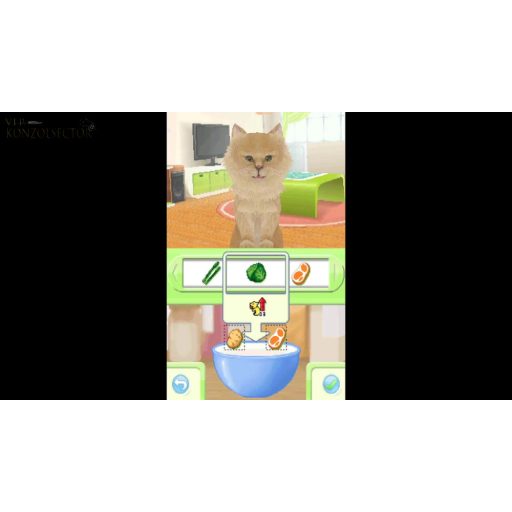 Nintendo DS Catz