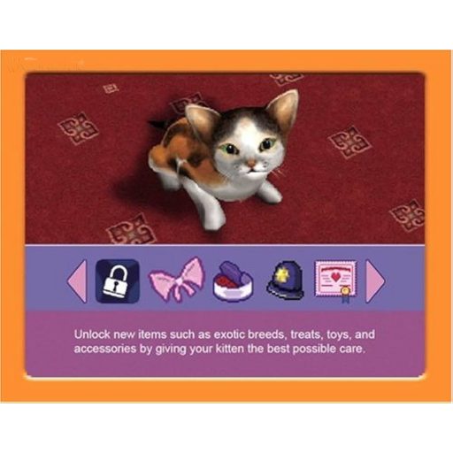 Nintendo DS Catz
