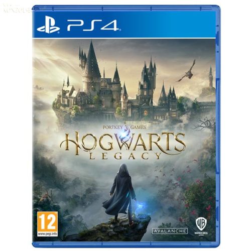 Ps4 Hogwarts Legacy 