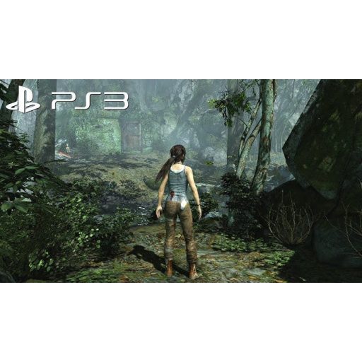 Ps3 Tomb Raider 
