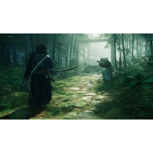 Playstation 5 Rise of the Ronin 