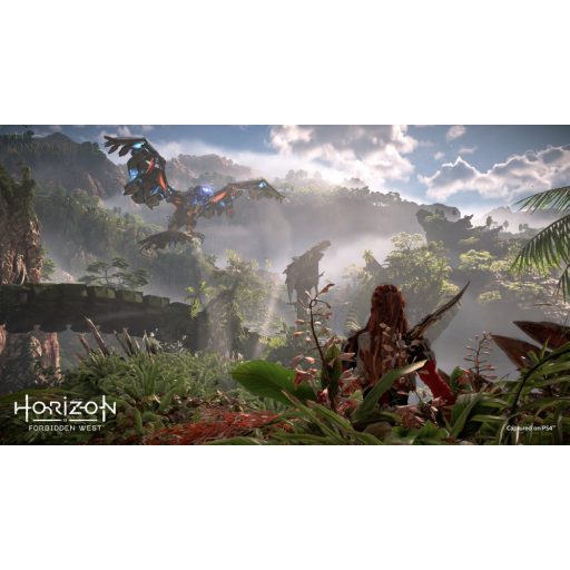 Playstation 4 Horizon Forbidden West használt