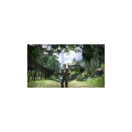 Xbox36O Fable 2
