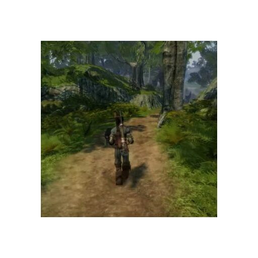 Xbox36O Fable 2