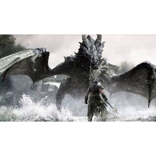 Playstation 4 The Elder Scrolls V: Skyrim Special Edition használt
