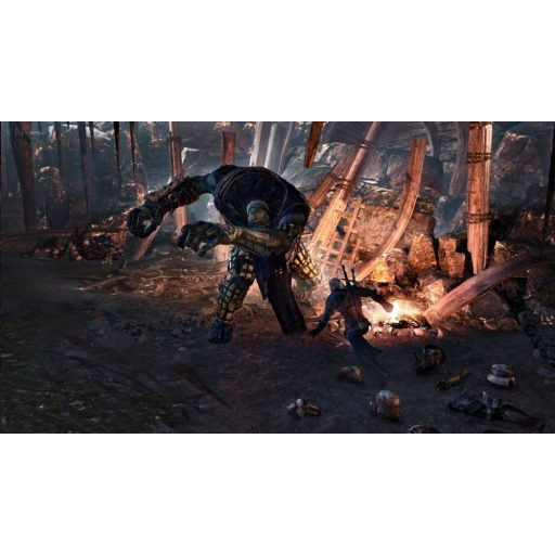 Playstation 4 The Witcher 3 Wild Hunt Game of the Year 