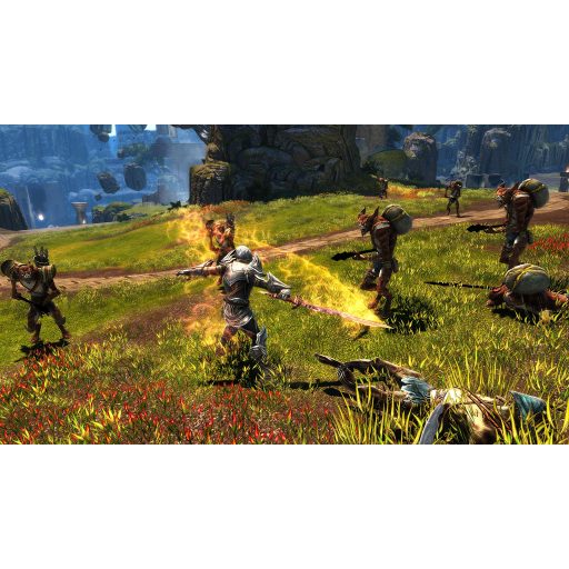 Playstation 4 Kingdoms of Amalur Reckoning