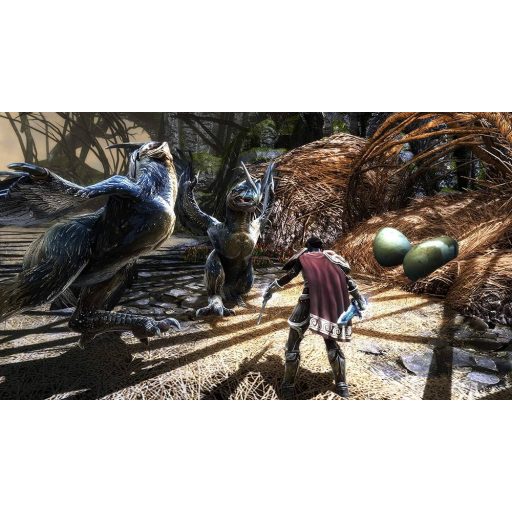 Playstation 4 Kingdoms of Amalur Reckoning