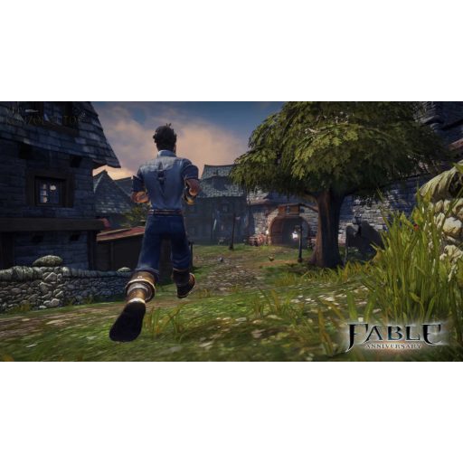 Xbox36O Fable Anniversary