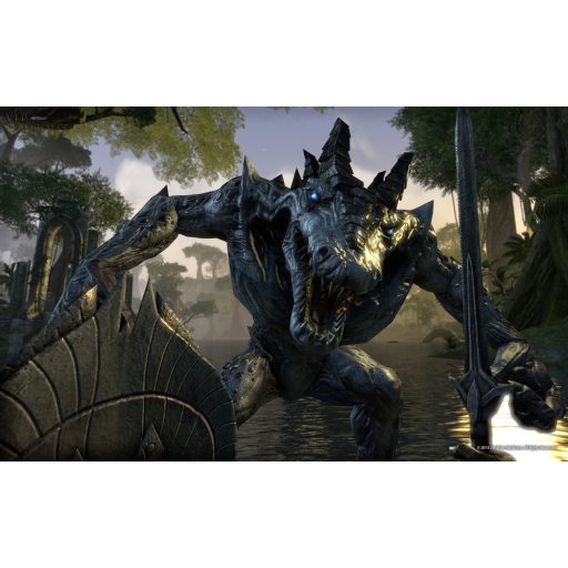 Playstation 4 The Elder Scrolls V Skyrim VR használt
